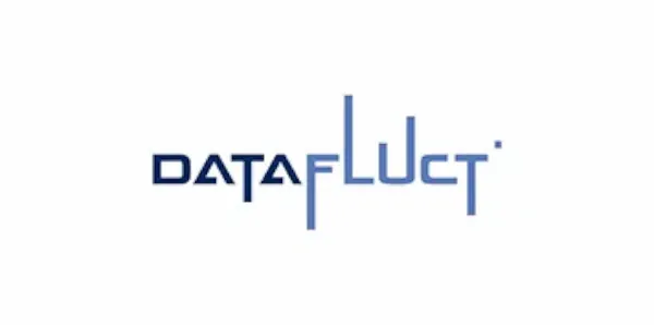 Datafluct logo