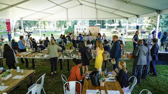 A high-angle wide shot of an outdoor event held under a large white tent on a grassy lawn. In the background, a "Safer with Google" panel is being filmed, while in the foreground, attendees gather around buffet tables and sit at long wooden picnic-style tables. The setting is lush with green trees and park benches visible outside the tent.