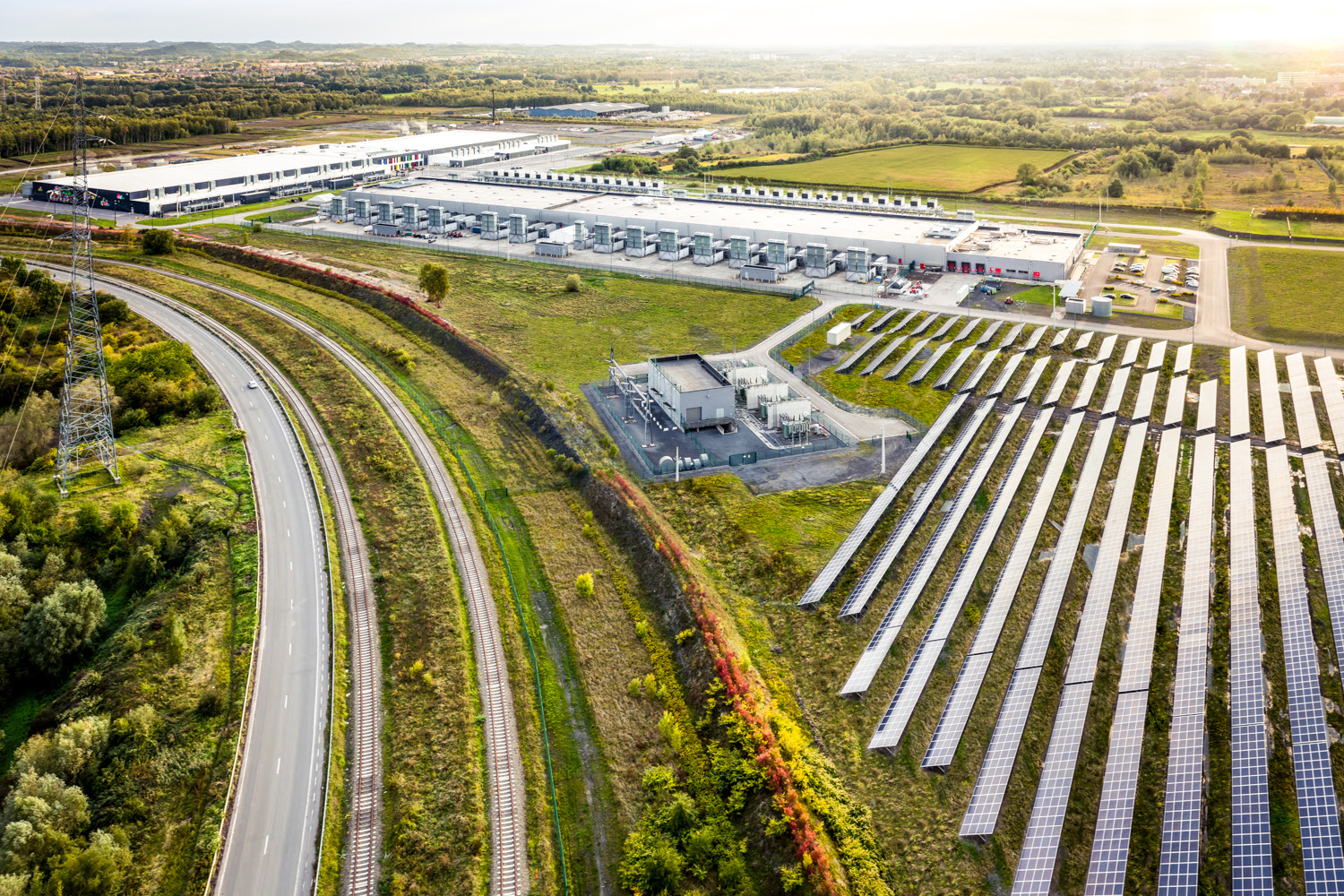 Field adjacent to rows of solar panels.