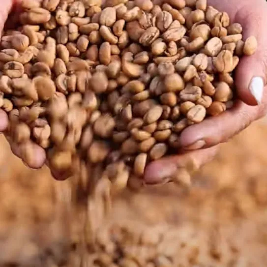 Conoce cómo Rituales de Café