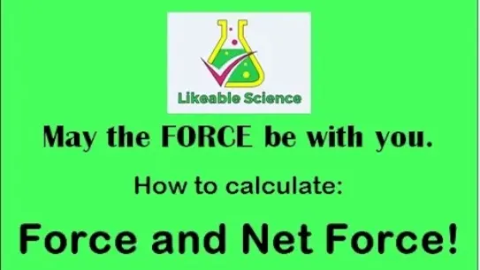 Force and Net Force