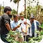 A group of four men standing in a lush green cotton field. One man in a light blue shirt is using a smartphone to record data or scan a yellow sticky trap used for pest monitoring, while the others observe.