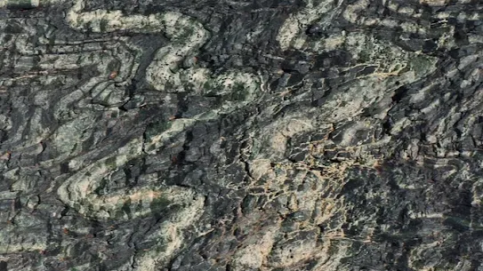 A zoomed in photo of serpentinite
