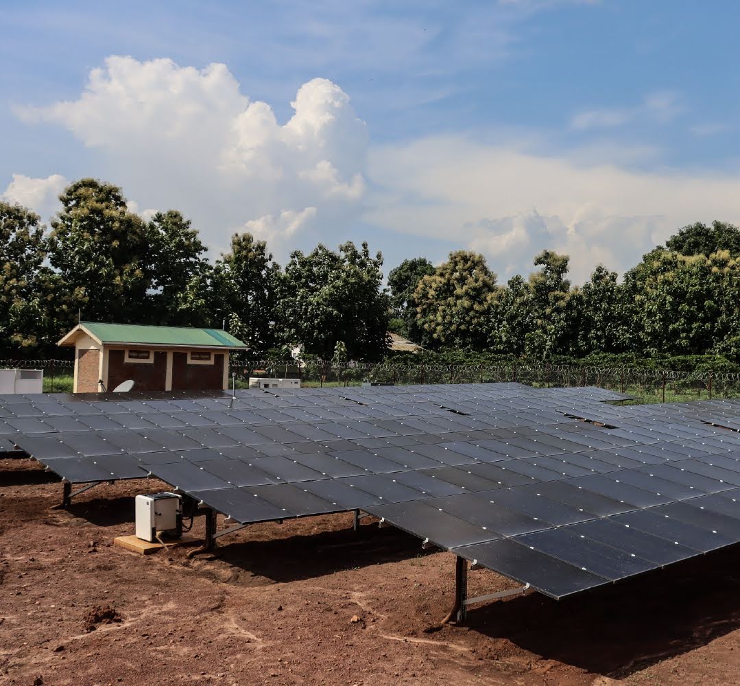 Solar minigrids in a field lined with trees with blue sky in the background
