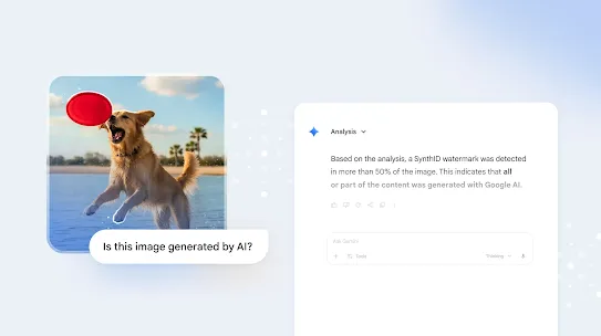 A golden retriever jumps in the water at a beach to catch a red flying disc, shown alongside a text bubble asking "Is this image generated by AI?"