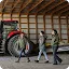 Three women in winter jackets walking and talking inside a large wooden barn next to a red tractor