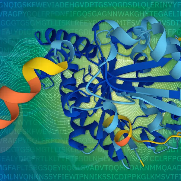 AlphaFold structure prediction of tubulin beta chain in Leishmania mexicana
