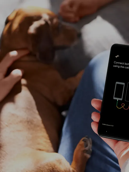 A person is holding an Android phone while petting a brown dog. The phone screen has a picture of two devices connected by a cord. Another person’s hands close to the dog’s face is in the background.