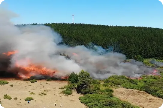 An aerial view of a wildfire burning through low brush and shrubs, producing thick plumes of white and grey smoke that drift toward a dense green evergreen forest under a clear blue sky.