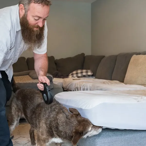 erdyes-pest-control-image-hr.webp