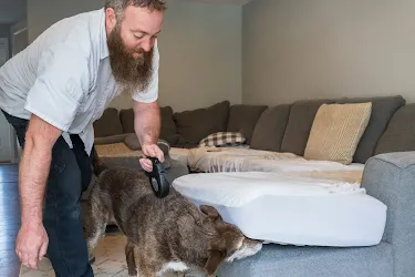 erdyes-pest-control-image-hr.webp