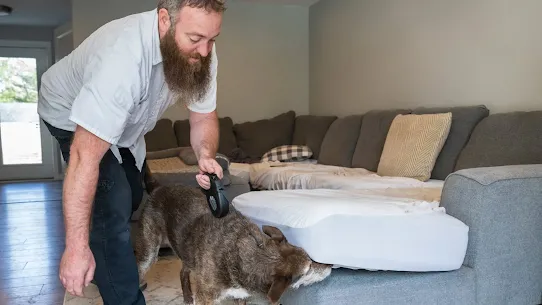 erdyes-pest-control-image-hr.webp