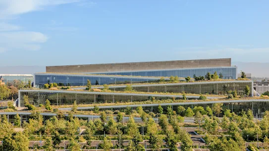 Google Sunnyvale - Caribbean
