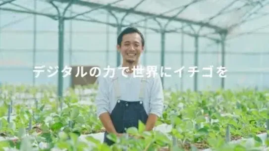 vid-9.webp