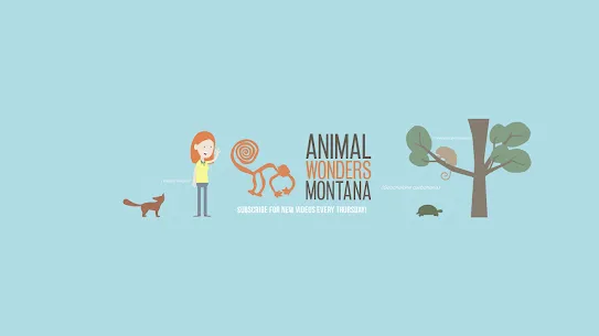 Animal Wonders Montana