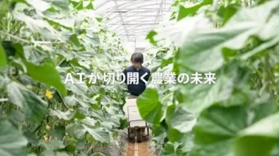 vid-3.webp