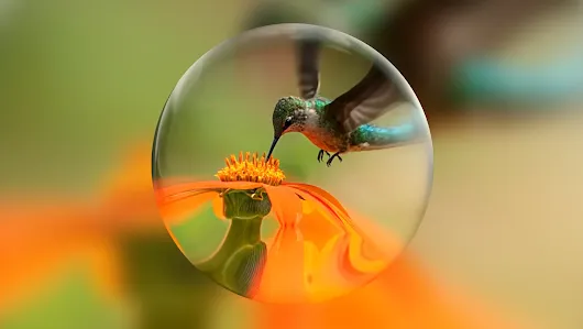 A video demonstrating real-time interactive worlds created with Genie 4.