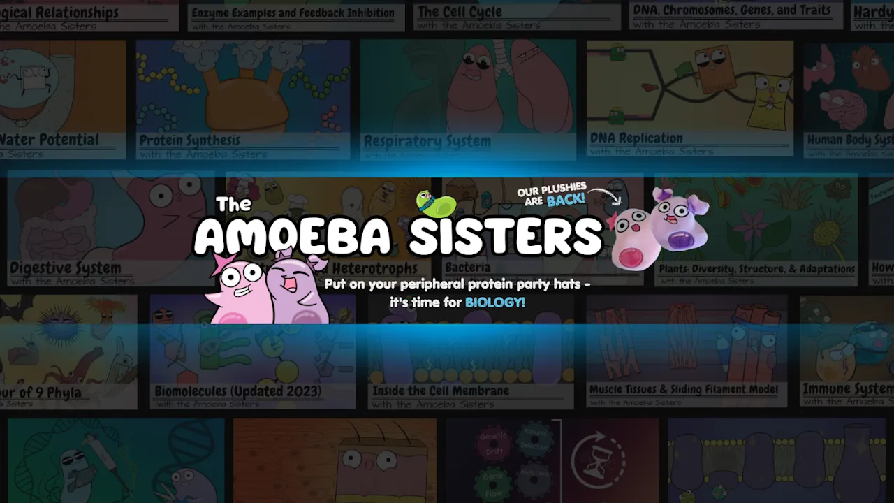 Amoeba Sisters