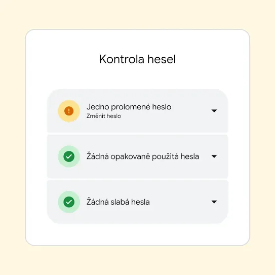 Rozhraní Kontroly hesel zobrazující výsledky včetně informace o jednom ohroženém heslu a návrhu na jeho změnu.