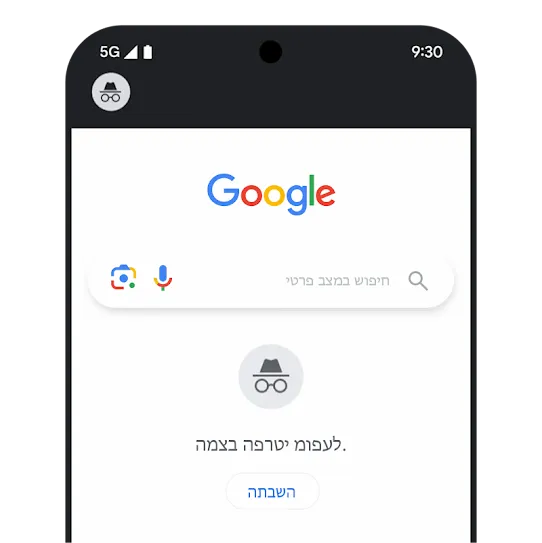 איור של מצב פרטי