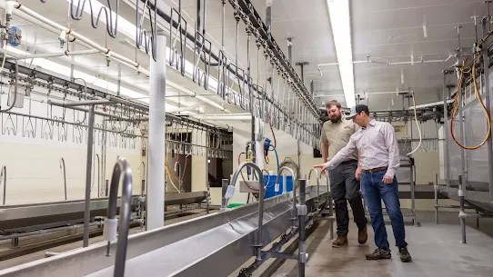 Image of Bowman and Landes Turkeys, a small business in New Carlisle, Ohio