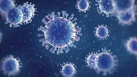Flu virus particles