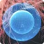 An abstract 3D visualization of a glowing blue grid sphere nested inside a larger transparent sphere, surrounded by wispy, flowing red fiber-like textures.
