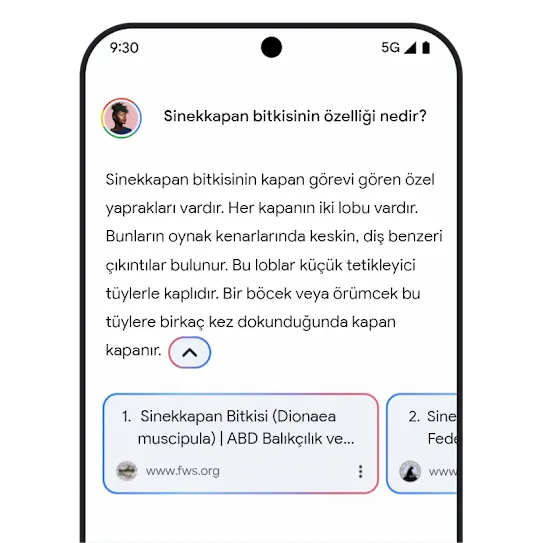 Gemini ilgili bağlantılar grafiği
