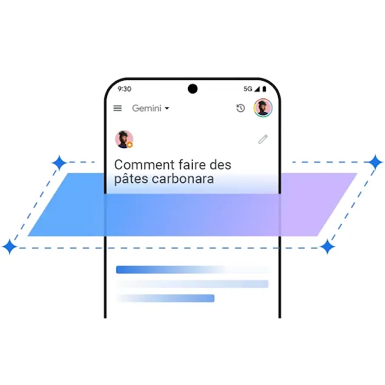 Image des mesures de protection de Gemini