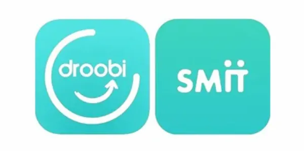 DroobiSmit Logo