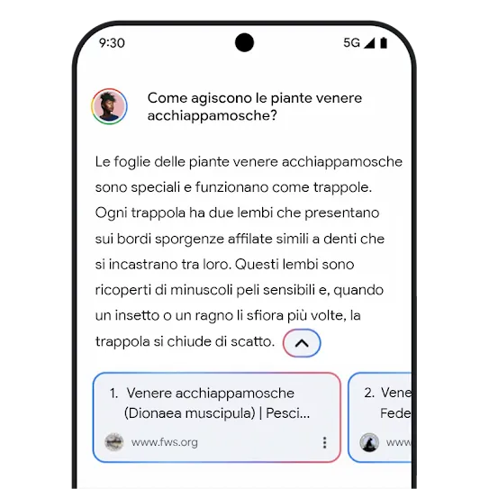 Immagine dei link correlati di Gemini