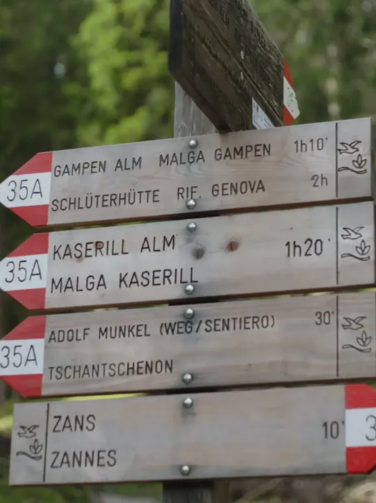 Wood wayfinding signs in a forest-like, hiking setting. A prompt asks Gemini to translate the top sign to English then Gemini responds with the translation.