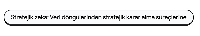 Kapsül şeklindeki metin banner'ında "Stratejik zeka: Veri döngülerinden stratejik karar alma süreçlerine" yazıyor.