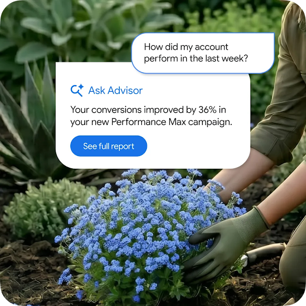 An AI chat interface over an image of a gardener’s hands planting a blue flowering plant in a garden. The top bubble reads "How did my account perform in the last week?" The bottom bubble reads "Ask Advisor. Your conversions improved by 34% in your new Performance Max campaign. See full report."