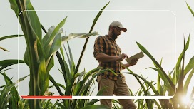 TwG NE #3307_V3_Thumb