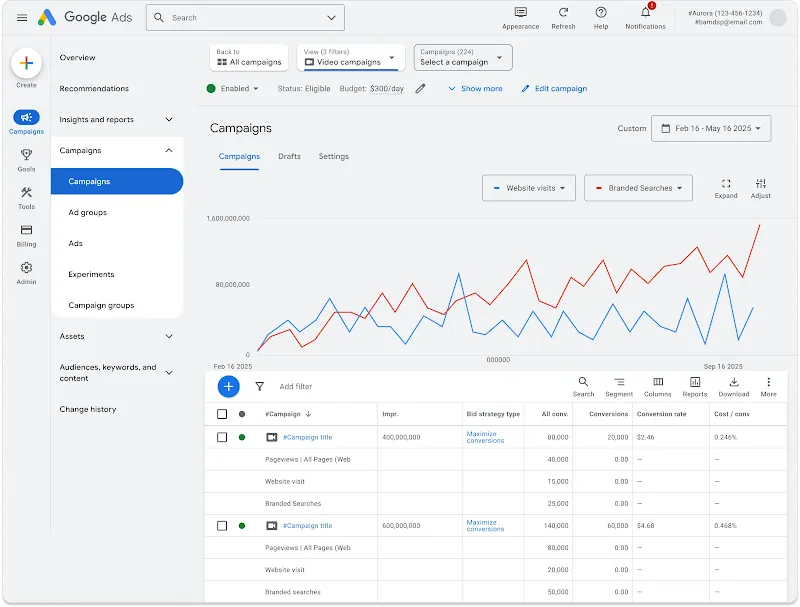 Búsquedas de marca en el panel | Fuente: Google