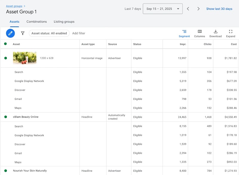 UI image of asset segmentation by channel.