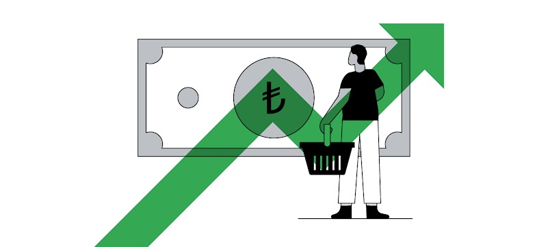 Elinde bir alışveriş sepeti tutan ve büyük bir banknota bakan bir kişiyi gösteren çizim. Çizimin üzerine yerleştirilmiş yeşil bir ok, kişinin yükselen fiyatlar hakkında düşündüğünü gösteriyor.