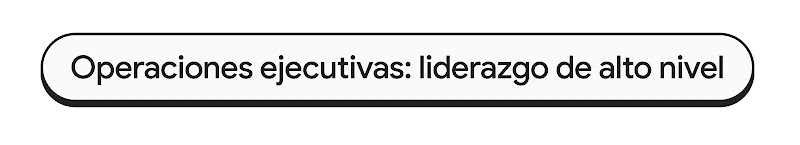Banner de texto en forma de cápsula con el texto: "Operaciones ejecutivas: liderazgo de alto nivel".