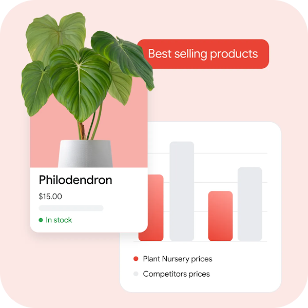 Shows a top-selling product and a chart that shows comparative pricing with competitors.