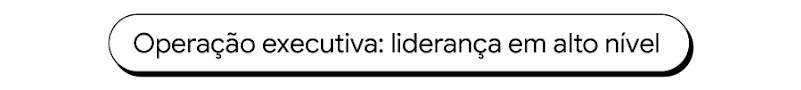 Operação executiva: liderança em alto nível