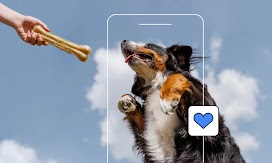 Diseño sin título - 2025-12-12T100932.523