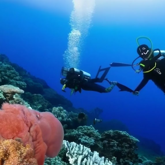 KI-generierte Bilder: zu sehen sind zwei Taucher vor einem Korallenriff.