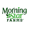 Morning Star Icon