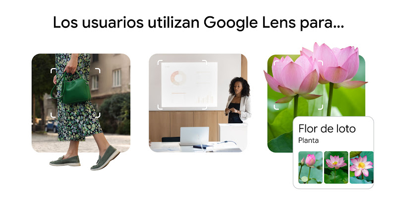 Los usuarios utilizan Google Lens para… 1) Hacer compras (con Google Lens destacando un bolso verde), educación (con un aula en la que Google Lens selecciona una presentación en una pantalla) y exploración del mundo natural (con la foto de una planta y un