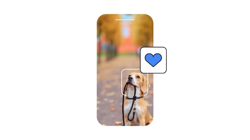 A phone screen displays a photo of a beagle holding its leash in its mouth, looking up. A blue heart icon overlays the image. The background of the photo shows a blurred autumn scene with yellow leaves