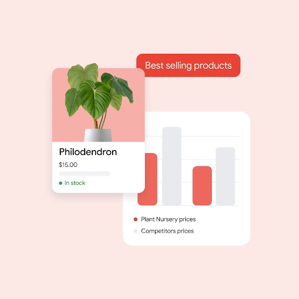 Shows a top-selling product and a chart that shows comparative pricing with competitors.