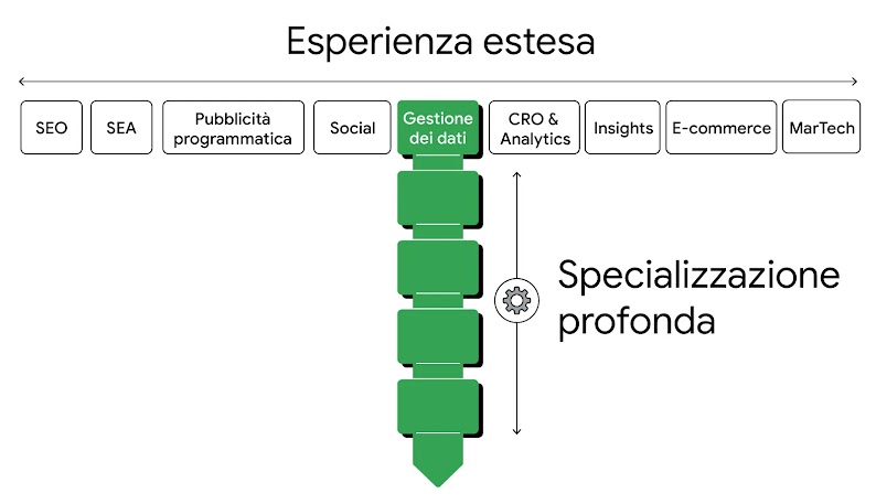Esperienza estesa: SEO, SEA, Pubblicità programmatica, Gestione dei dati, CRO & Analytics, Insights, E-commerce, MarTech. Specializzazione profonda.