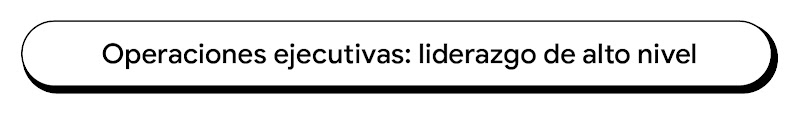 Banner con texto que dice: Operaciones ejecutivas: liderazgo de alto nivel.