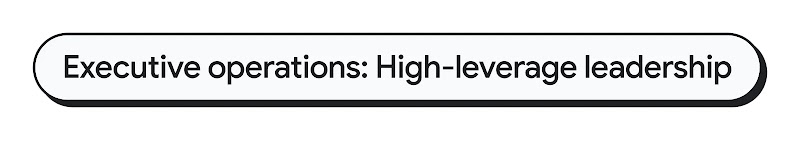 Capsule-shaped text banner reads, Executive operations: High-level leadership